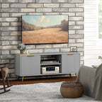 Collins TV Stand with Storage for 55 Inch TV