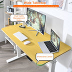 Kylar 48-Inch Electric Standing Adjustable Office Desk with Memory Presets and USB Port-Natural