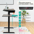 Florian 48" Electric Sit to Stand Desk with Keyboard Tray-Rustic Brown
