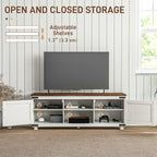 Kirby Farmhouse TV Stand Small Minimalist Barn Doors Cable