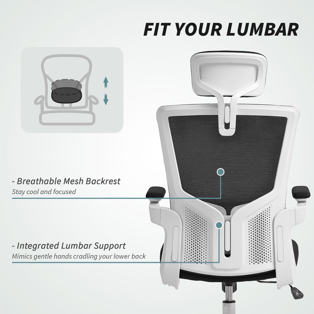 Andre Ergonomic Office Chair, Swivel Desk Chair with Adjustable Lumbar Support, Headrest and Height, Flip-up Armrests, Black