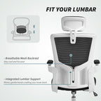 Andre Ergonomic Office Chair, Swivel Desk Chair with Adjustable Lumbar Support, Headrest and Height, Flip-up Armrests, Black