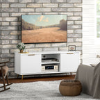 Collins TV Stand with Storage for 55 Inch TV