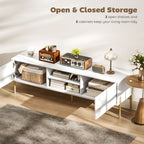  Entertainment Center with 2 Open Shelves