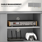 Collins TV Stand with Storage for 55 Inch TV