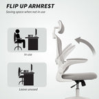 Owen Ergonomic Mesh Office Chair, High Back Desk Chair with Rotatable Headrest, Flip-Up Armrests, Lumbar Support, Grey