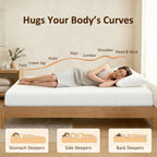 Merritt 8-Inch Luxury-Firm Memory Foam Mattress in a Box-Available in 4 Sizes