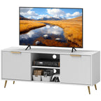 Collins TV Stand with Storage for 55 Inch TV