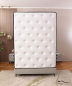 Euphoria Cooling Pillow